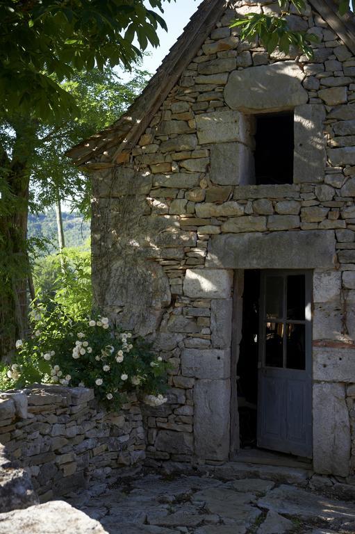 Mas De Garrigue Bed and Breakfast Calvignac Εξωτερικό φωτογραφία